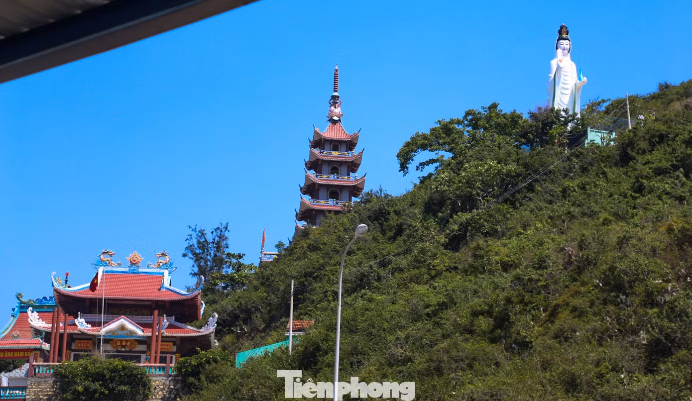 tp-c_img-0259.jpg