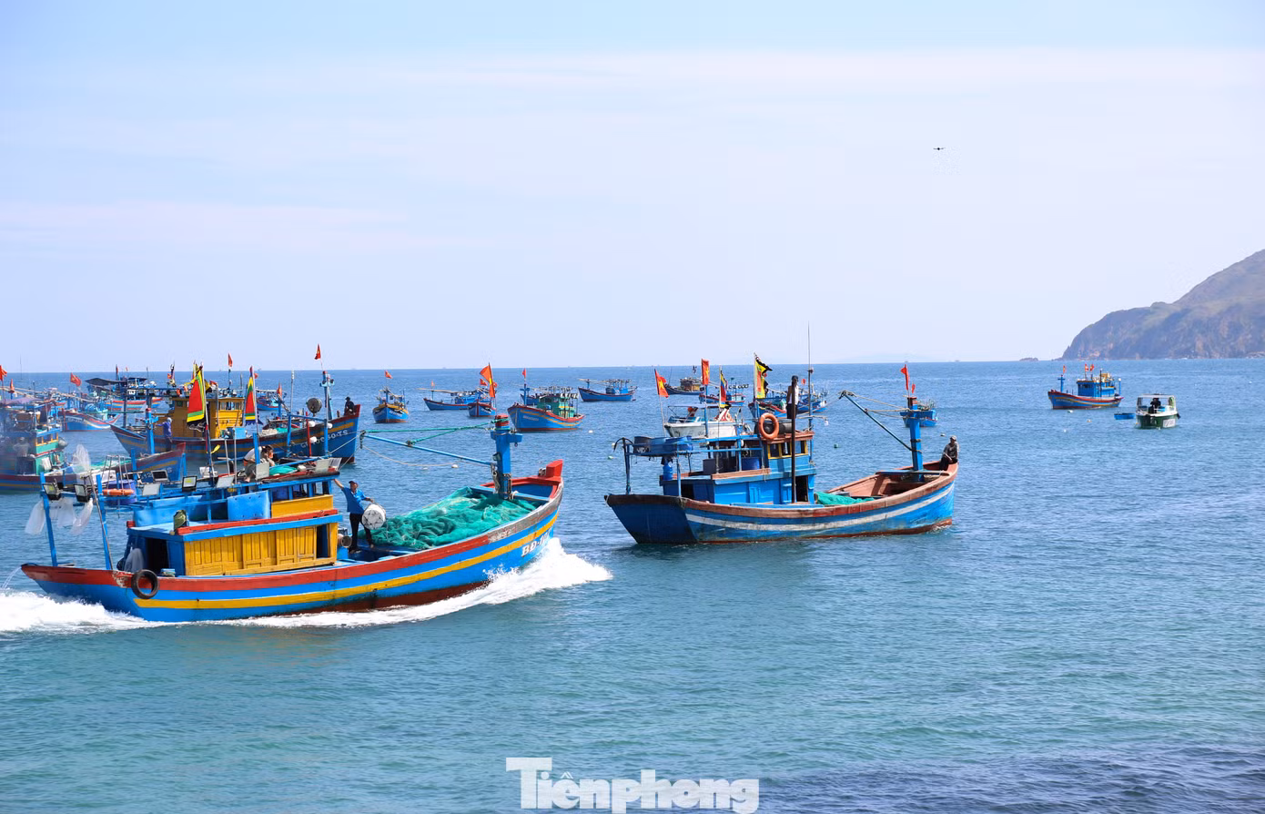 tp-c_img-5547.jpg