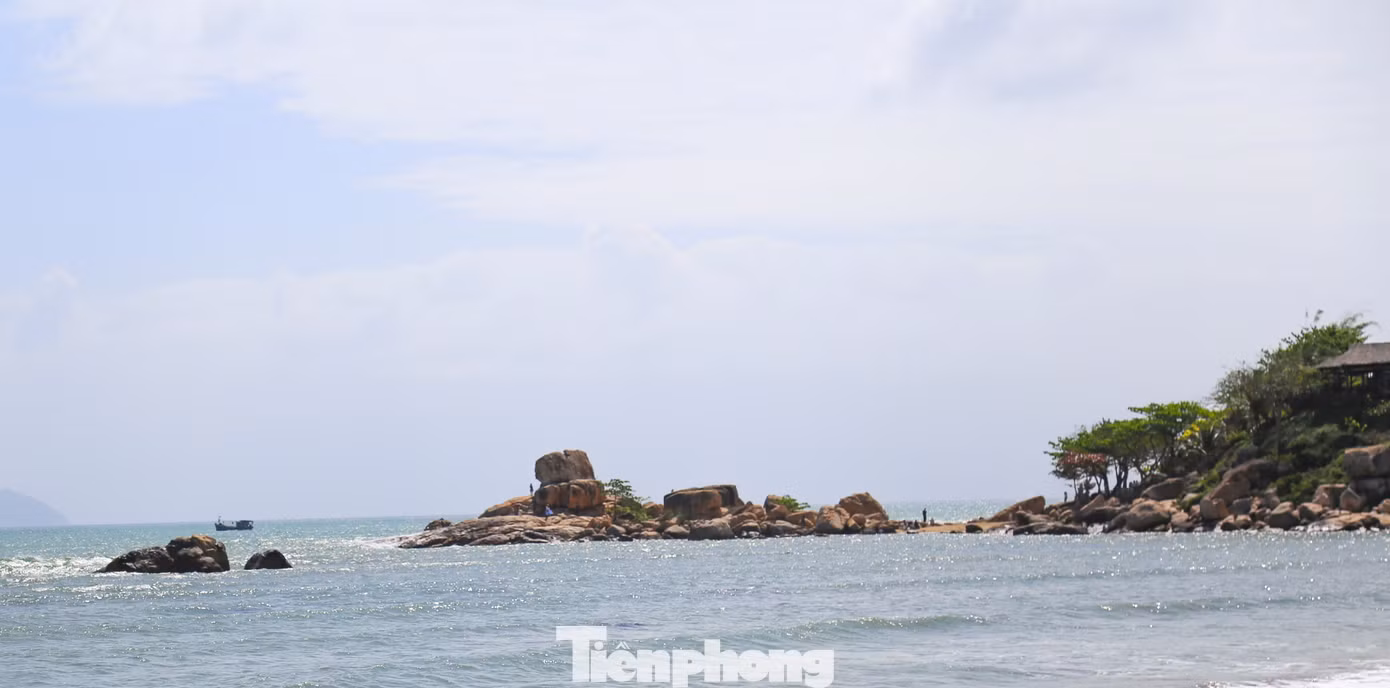 tp-c_img-7318.jpg