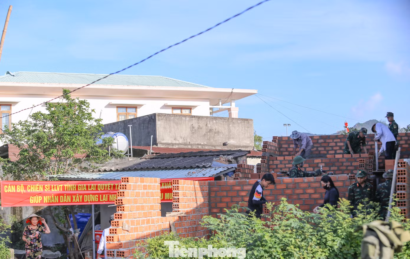 tp-c_img-8926.jpg