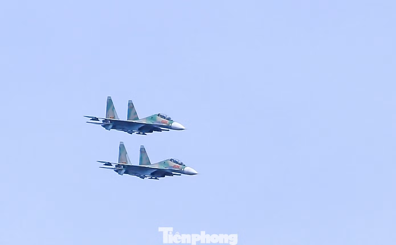 tp-c_a17.jpg