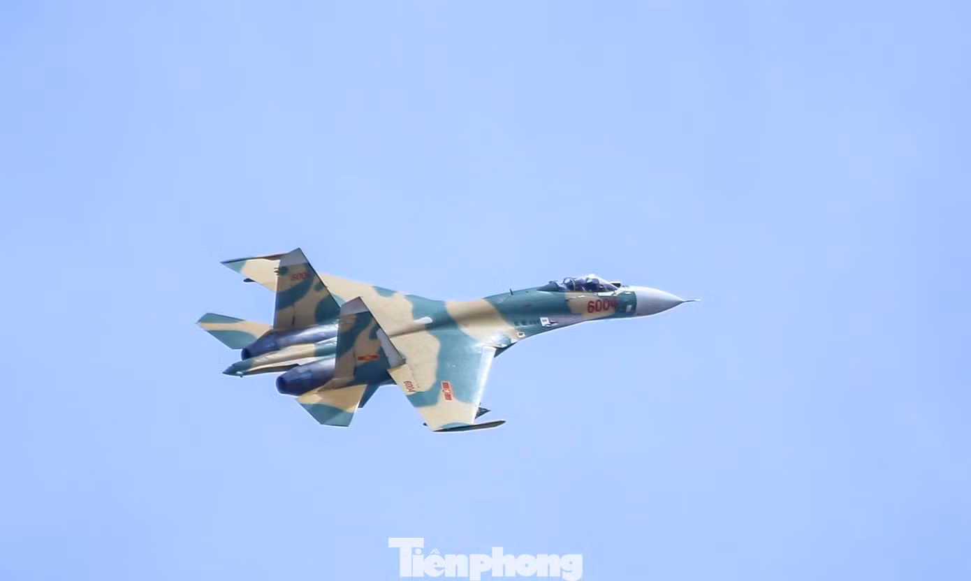 tp-c_a12.jpg