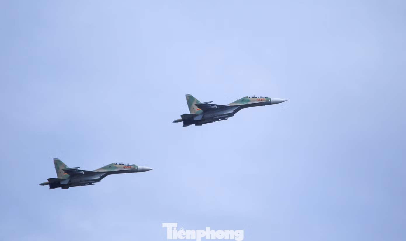 tp-c_a7.jpg