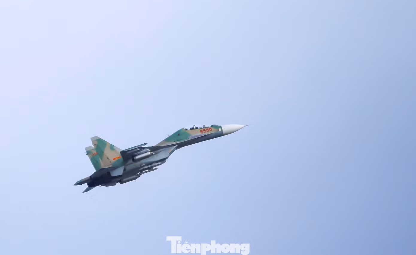 tp-c_a2.jpg