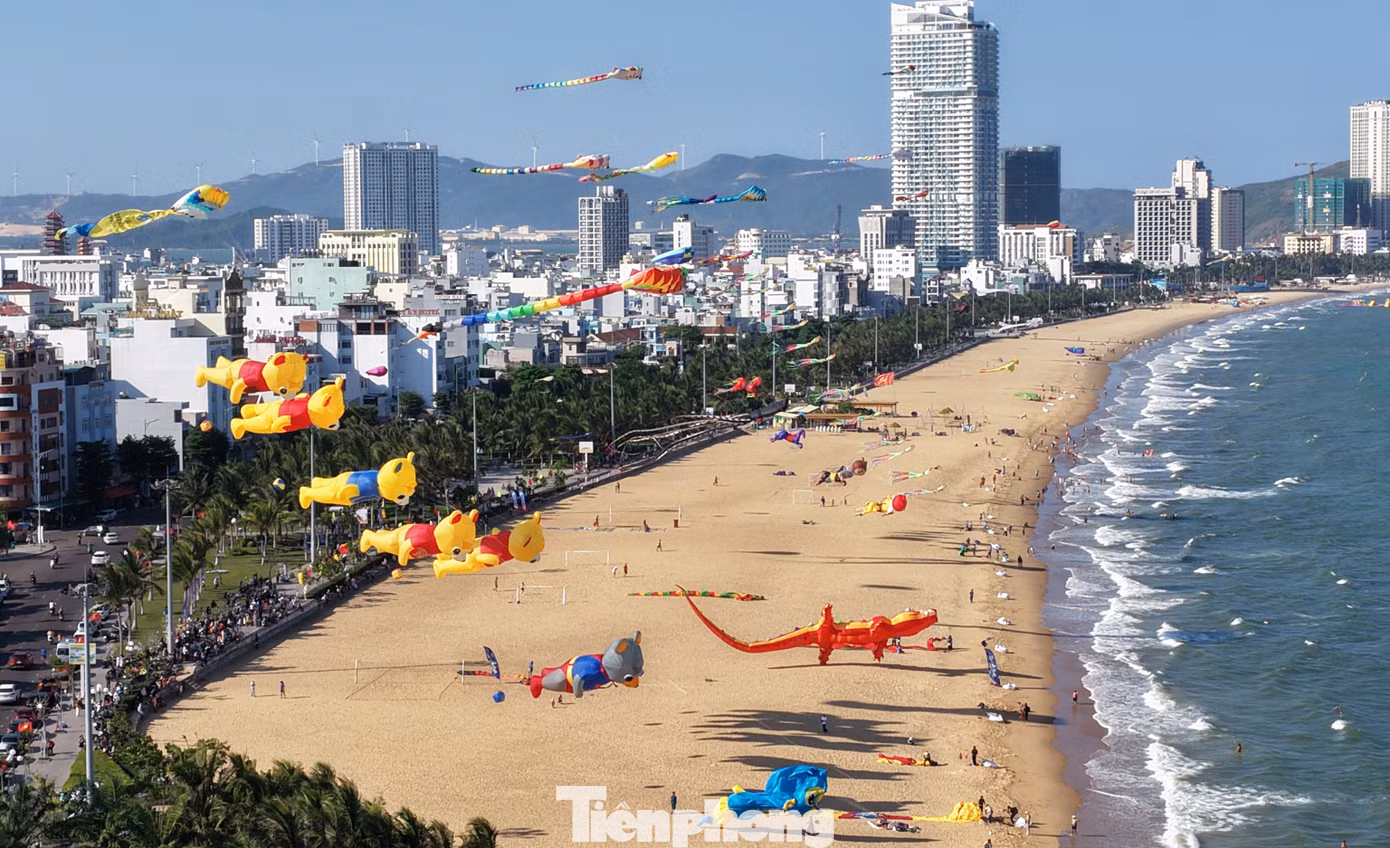 tp-c_dji-20260620165528-0082-d.jpg