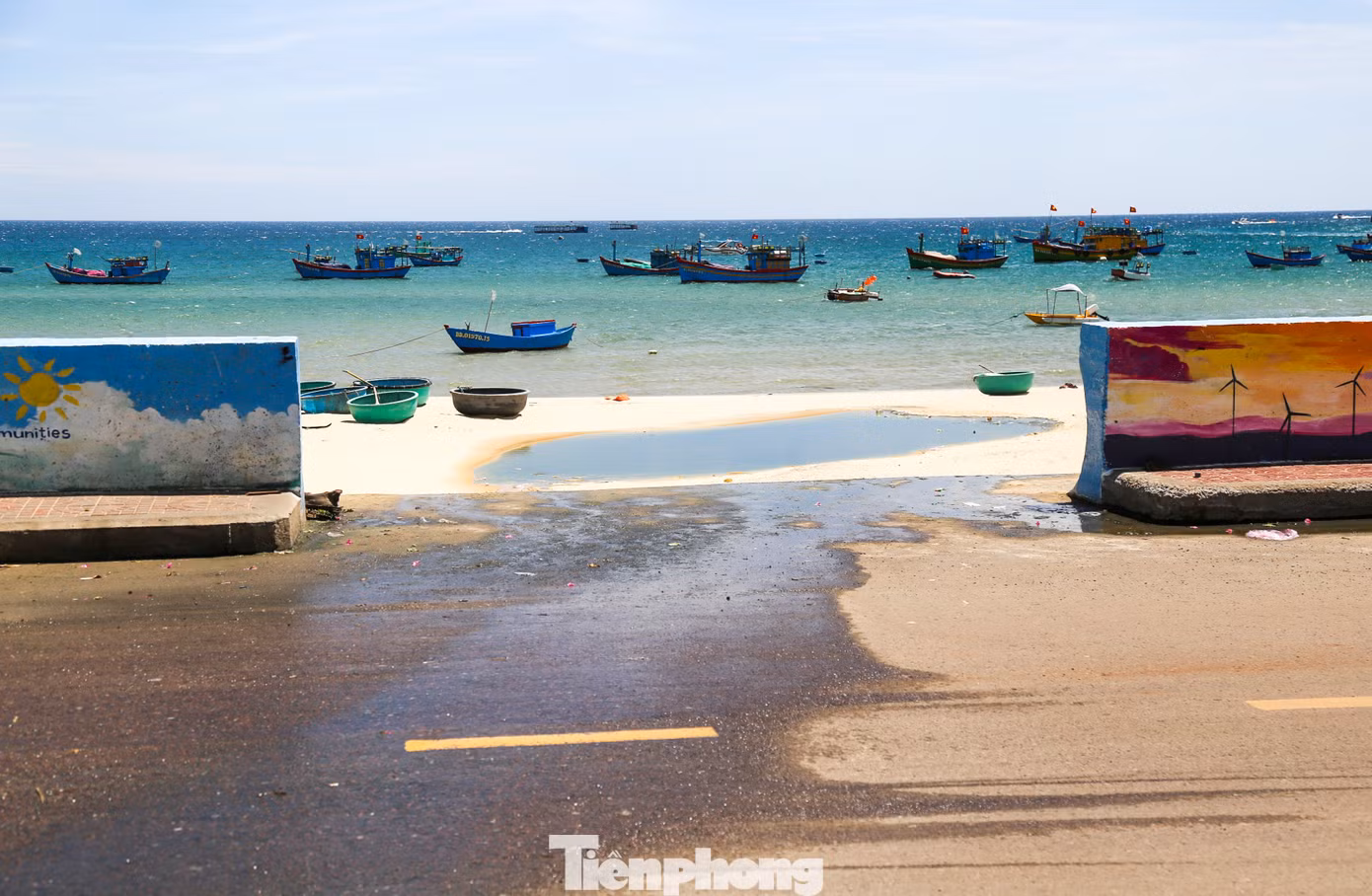 tp-c_img-5015.jpg