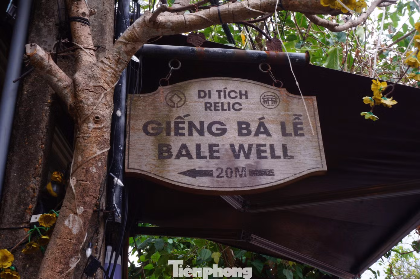 tp-giengbale-1b.jpg