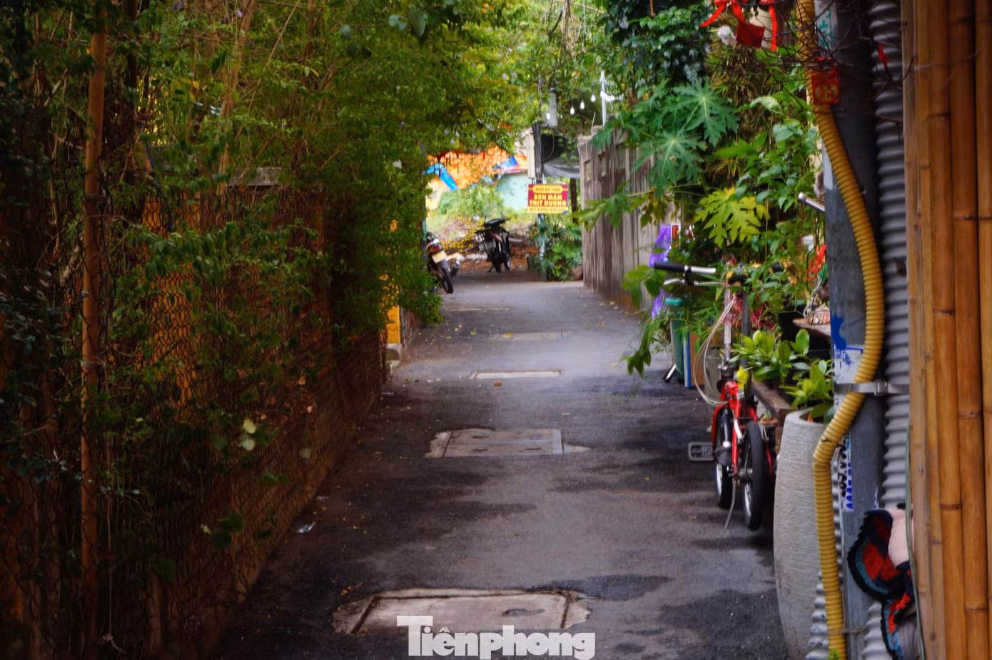 tp-giengbale-1c.jpg