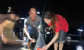 Ngao, sò đắp đống ở bờ biển Ninh Bình, người dân đổ xô đi bắt trong đêm