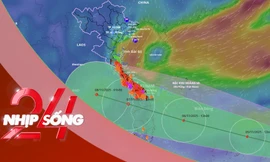 NHỊP SỐNG 24: Bão số 13 sẽ đổ bộ khu vực nào trên đất liền nước ta?