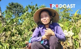 NÓNG 19/9: Diễn biến bất ngờ vụ anh rể phá hoại vườn cây của em vợ vì 'mâu thuẫn tình cảm'