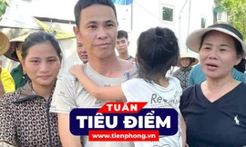 TIÊU ĐIỂM: Lý do người nuôi gà lôi trắng được tại ngoại; Thả hàng triệu con muỗi để chống dịch chikungunya