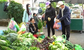 Lý giải nguyên nhân rau xanh Hà Nội tăng giá phi mã