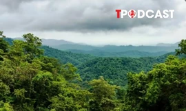 NÓNG 16/8: Du khách mất tích bí ẩn trong rừng ở Ninh Bình