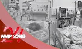 NHỊP SỐNG 24: Thông tin mới vụ cha tạt xăng đốt vợ và 2 con