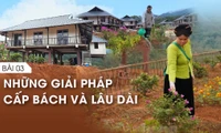 Nỗi lo 'Sơn thần' nổi giận - Bài 3: Những giải pháp cấp bách và lâu dài
