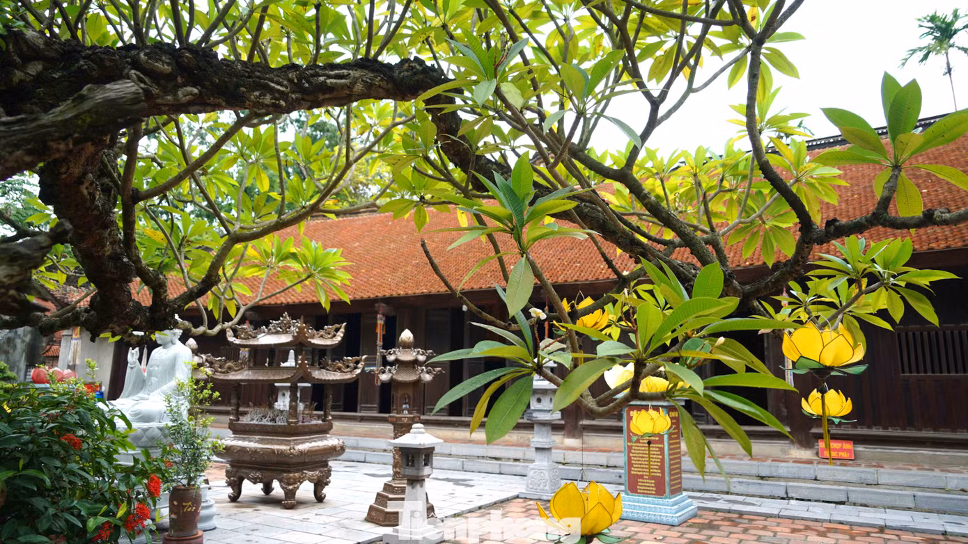 tp-anh01680.jpg