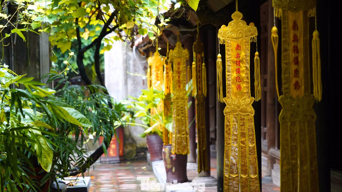 tp-anh01700.jpg