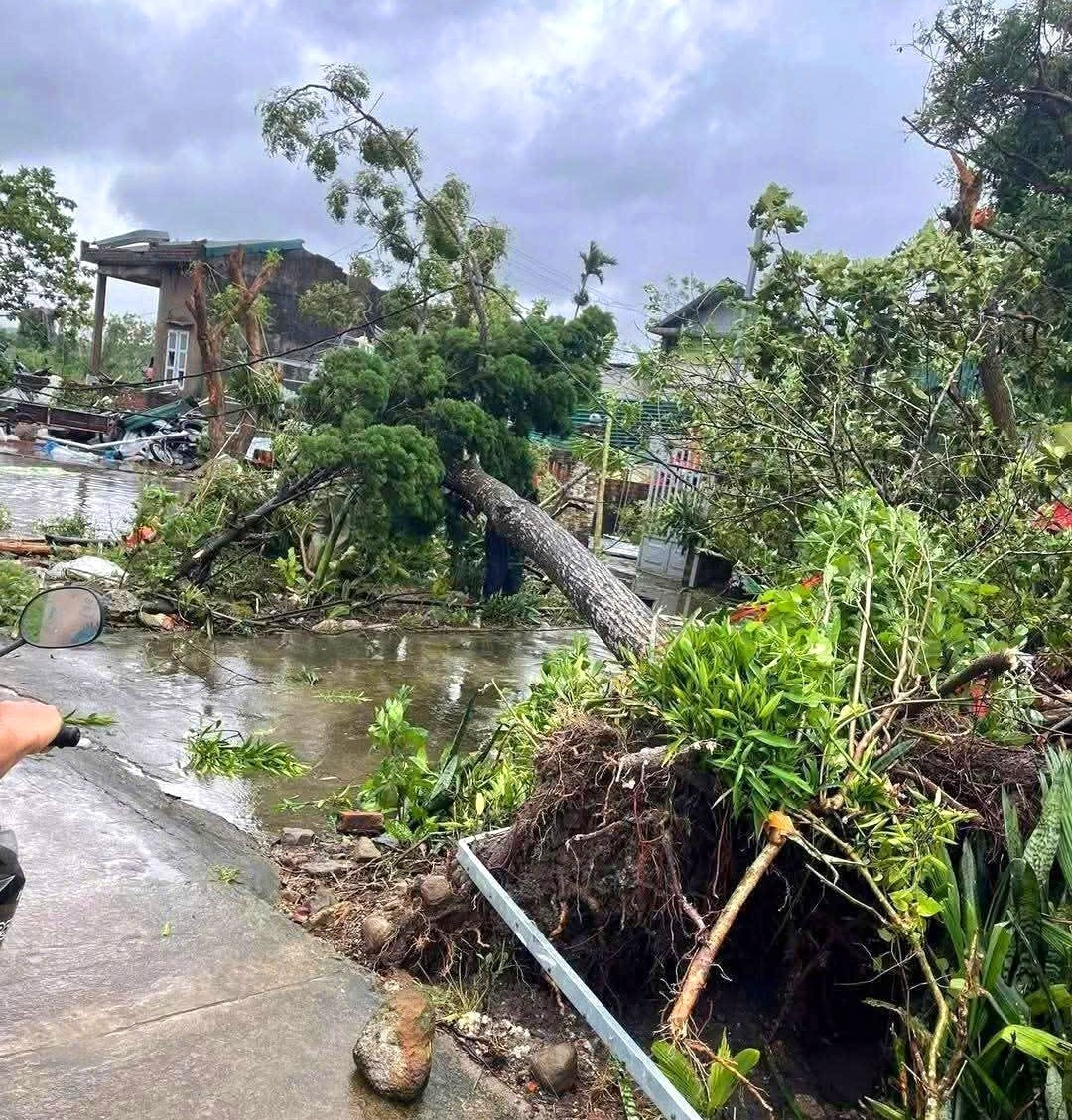 Cây cối bị gãy đổ sau cơn giông lốc bất ngờ. img-9366.jpg