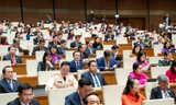 Các đại biểu Quốc hội tại Kỳ họp thứ 10, Quốc hội khóa XV.
