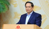 Thủ tướng: Đường lối đã đúng, triển khai phải nhanh, lấy hiệu quả làm thước đo