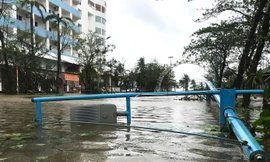 Nhiều trường đại học cho sinh viên nghỉ, học trực tuyến tránh bão số 10