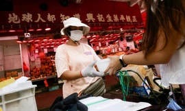 Thiếu nữ Hồng Kông nuôi dưỡng các 'bà già bìa cứng' trong thành phố đang 'gây sốt' trên Instagram