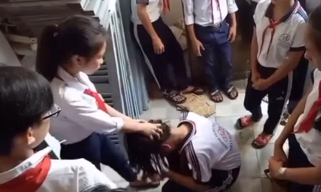 Bạo lực học đường: Cần chế tài giáo dục đặc biệt, lao động công ích, gửi đi trại giáo dưỡng