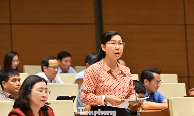 Cán bộ, công chức trở thành luật sư công, có cần qua tập sự?