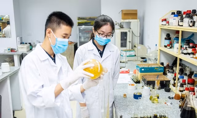 Quy định mới về tuyển dụng viên chức, trả lương theo vị trí việc làm