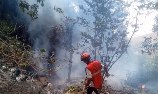 Lãnh đạo cơ quan tình báo Ecuador thiệt mạng vì tai nạn máy bay khi đi du lịch