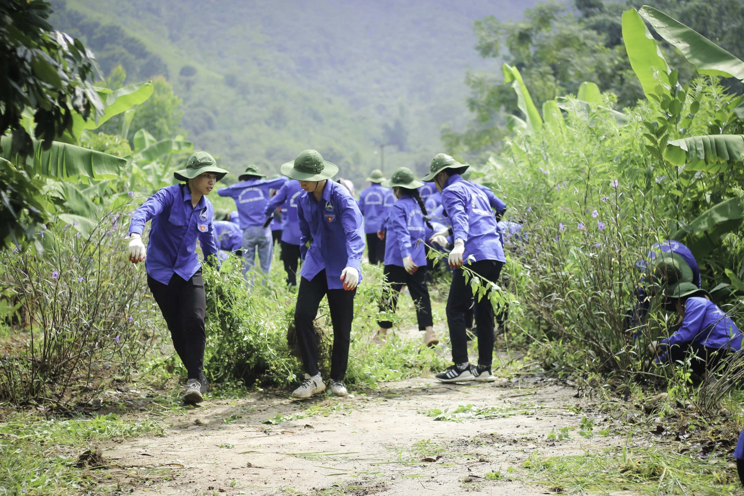 THANH NIÊN TÌNH NGUYỆN