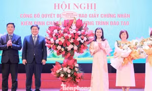 Nâng cao chất lượng đào tạo, bồi dưỡng cho cán bộ Đoàn tương lai
