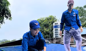 Tuổi trẻ Ninh Bình hỗ trợ người dân khắc phục ảnh hưởng bão số 3