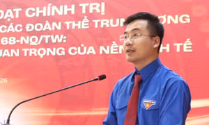 Thúc đẩy các sáng kiến, mô hình của tuổi trẻ Mặt trận Tổ quốc, các đoàn thể T.Ư phát triển kinh tế tư nhân