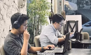 'Văn phòng di động' thu hút giới trẻ 