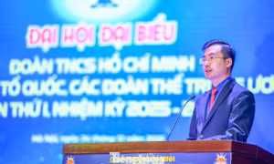 Tuổi trẻ Mặt trận Tổ quốc, các đoàn thể T.Ư chung sức củng cố khối đại đoàn kết toàn dân tộc