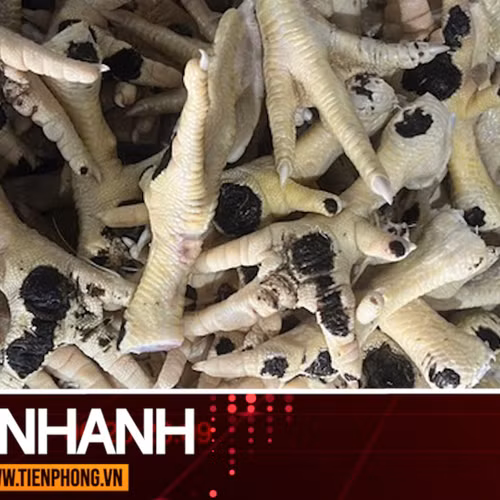 TIN NHANH: Kinh hoàng nguồn gốc và đường đi của hàng chục nghìn tấn chân gà đông lạnh nhập lậu