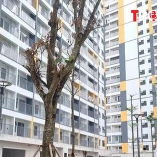 Đề xuất không thu quá 95% giá nhà ở xã hội trước khi cấp sổ đỏ