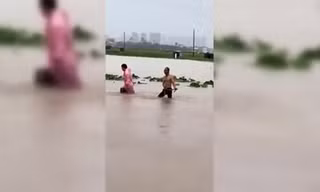 Sư tử chết đuối, rắn độc sổng chuồng, lợn bị lũ cuốn 