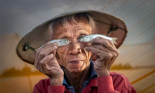 Ngư dân Hội An và hai con cá đánh bại 14.500 đối thủ quốc tế 