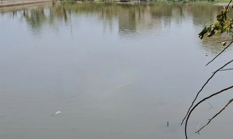 Thấy dép và đồ câu cá trên bờ, người dân lặn tìm, phát hiện hai em nhỏ dưới hồ