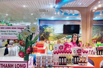 Trên thủ phủ thanh long: Từ cánh đồng rớt giá đến ý chí nâng tầm nông sản