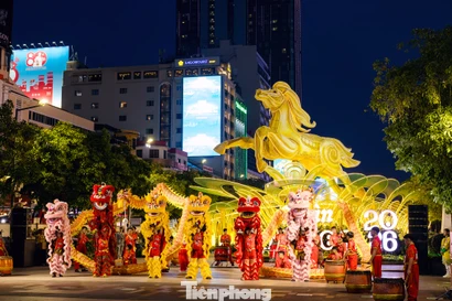 'Tọa độ' check-in mới và hành trình văn hóa của người trẻ ở đường hoa Tết Bính Ngọ