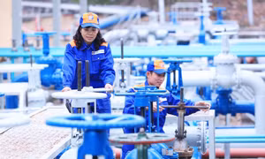 “Phổ cập” nhiên liệu Euro 5: Giải bài toán phát triển năng lượng sạch, chuyển đổi xanh