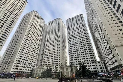 Nhà thương mại giá phù hợp có kéo giảm giá nhà?