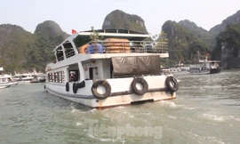 Các tàu du lịch hoạt động trên vịnh Hạ Long. Ảnh: Lộc Liên.