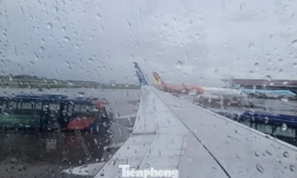 Bão Bualoi gây xáo trộn hơn 450 chuyến bay 