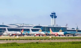 Vietnam Airlines là hãng bay phục vụ khách du lịch tốt nhất 2025