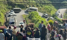 Đường kẹt cứng, khách sạn 'cháy' phòng mùa hoa tam giác mạch